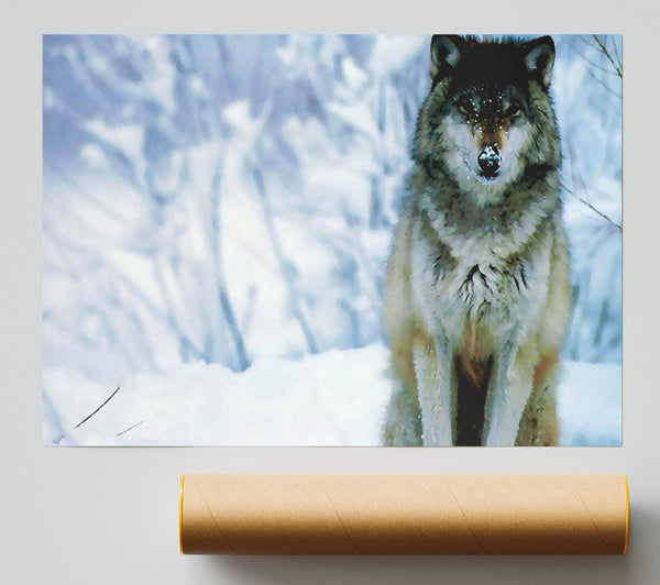 Snow Wolf Giclee Print