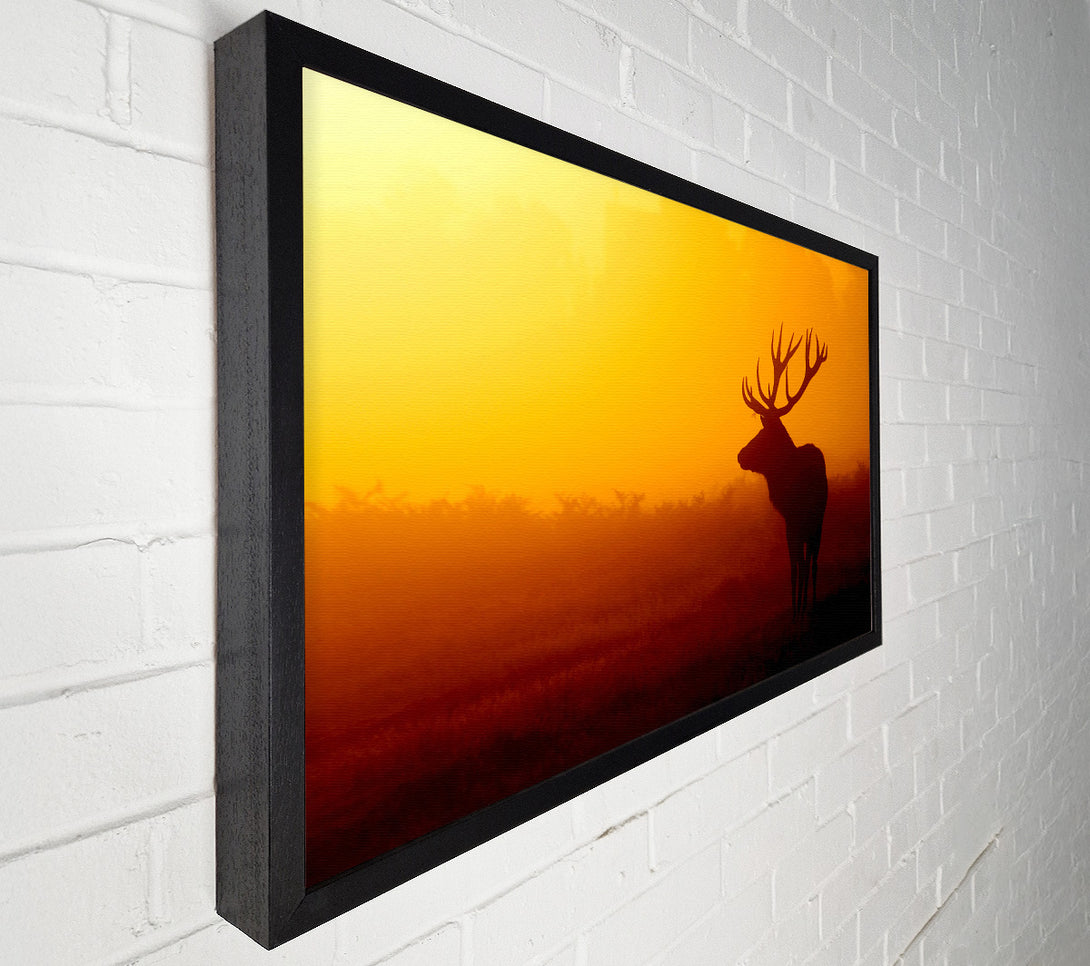  A Canvas Print of Stag At Sunset Canvas Wall Art
