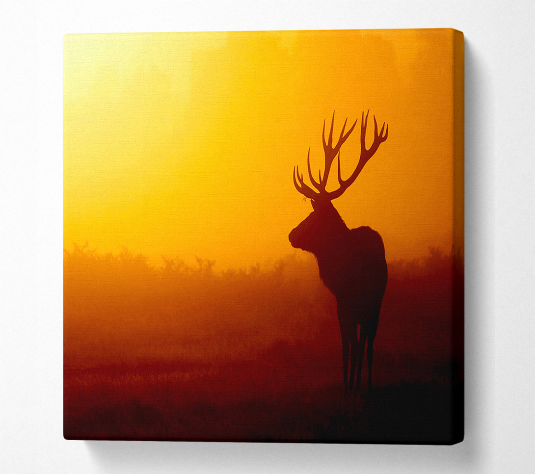  A Canvas Print of Stag At Sunset Canvas Wall Art