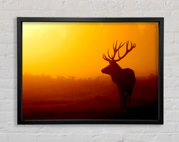 Stag At Sunset Framed Print