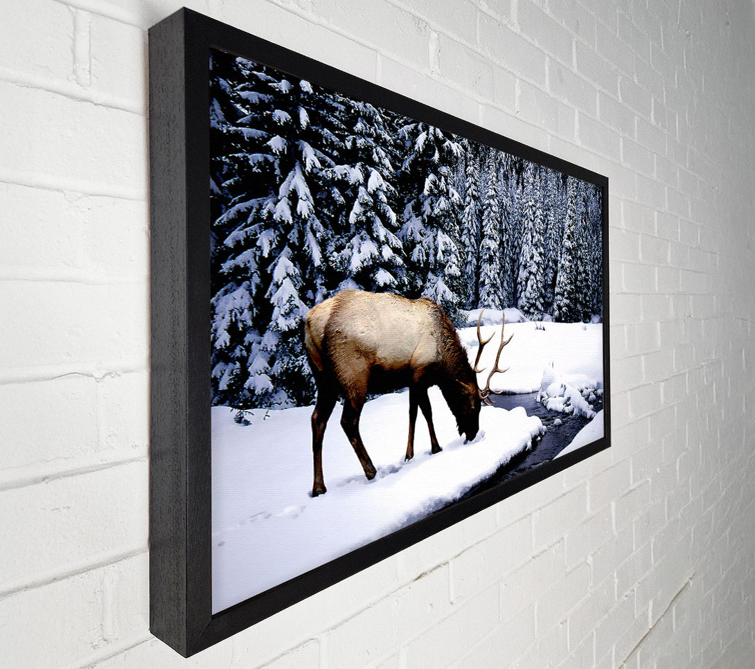  A Canvas Print of Stag In Winter Canvas Art
