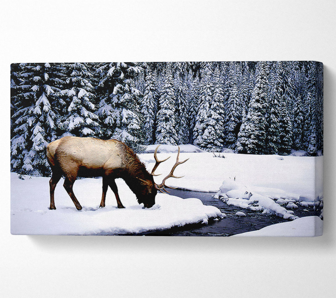  A Canvas Print of Stag In Winter Canvas Art