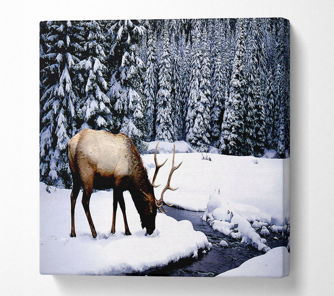  A Canvas Print of Stag In Winter Canvas Art