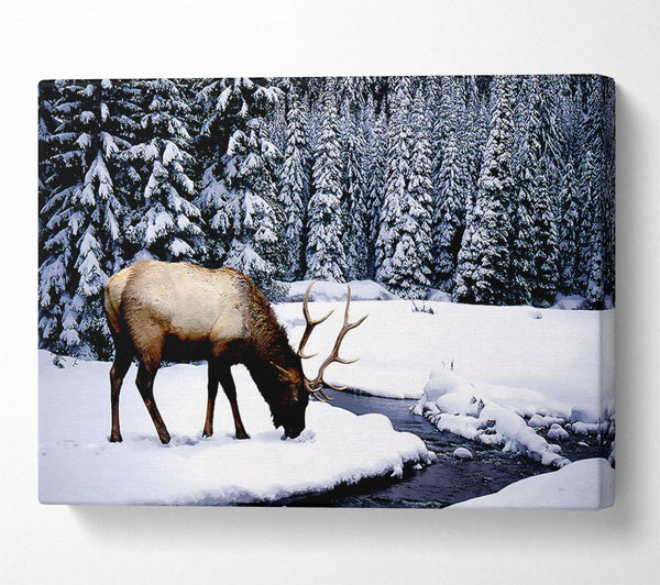  A Canvas Print of Stag In Winter Canvas Art