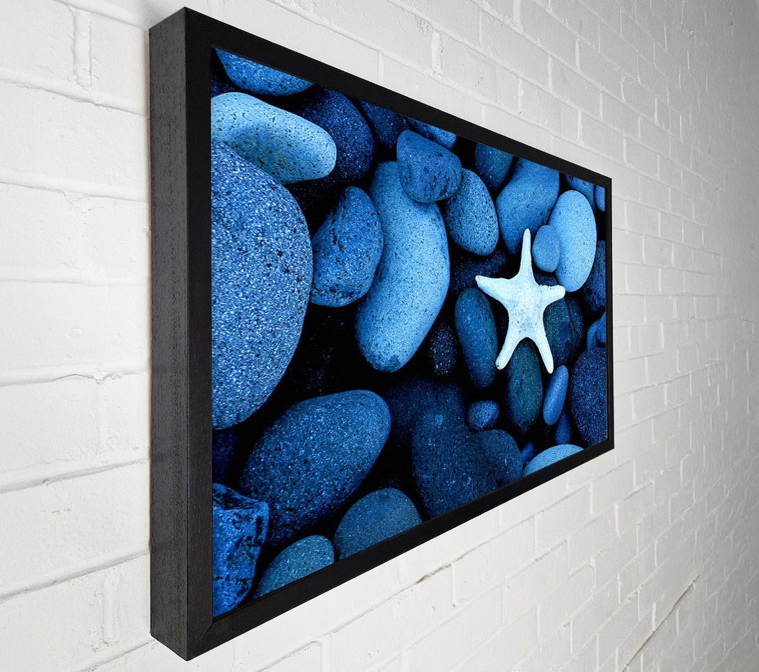  A Canvas Print of Star Fish Rocks Canvas Wall Art