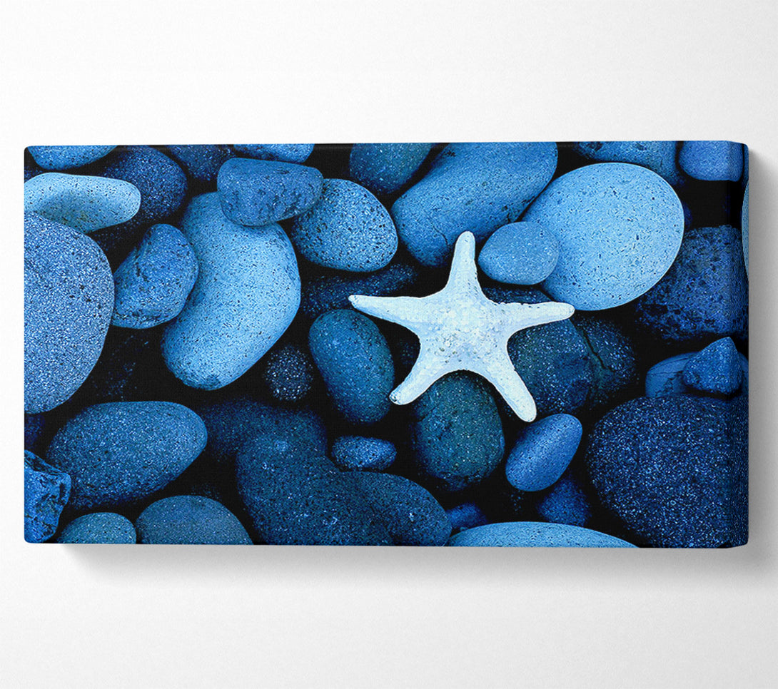  A Canvas Print of Star Fish Rocks Canvas Wall Art
