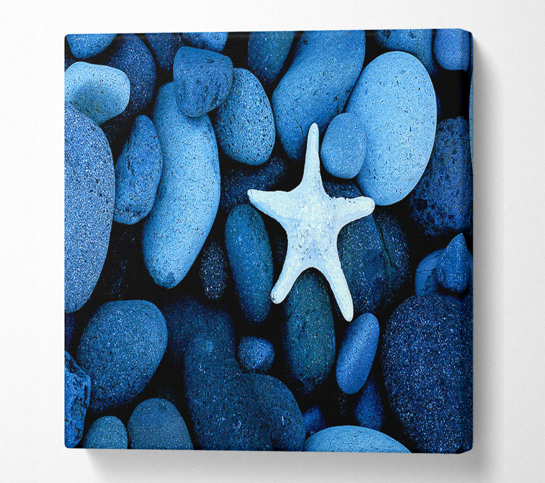  A Canvas Print of Star Fish Rocks Canvas Wall Art