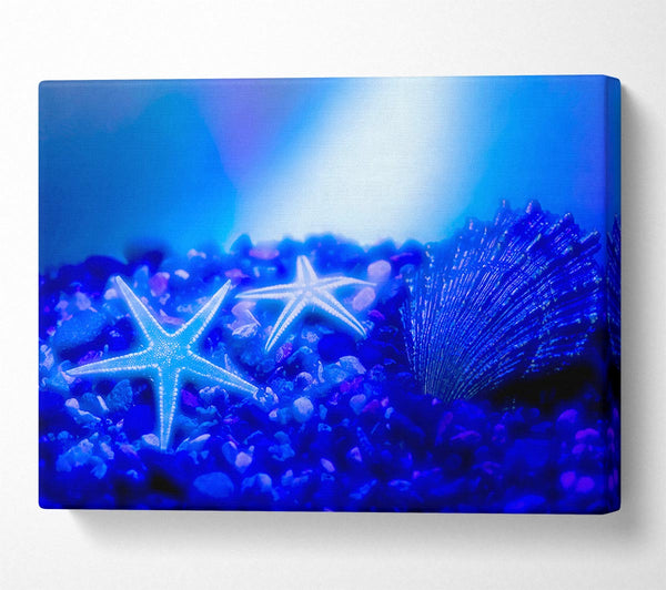  A Canvas Print of Stunning Blue Starfish Canvas Print