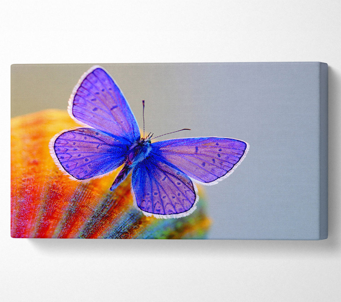  A Canvas Print of Stunning Butterfly Canvas Wall Art