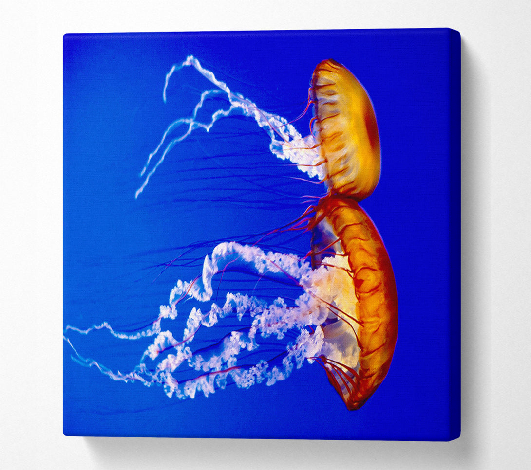  A Canvas Print of Stunning Jellyfish Canvas Wall Art