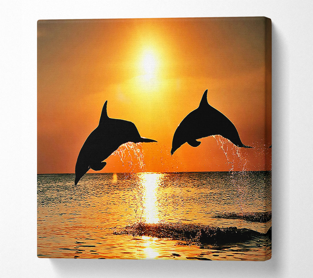  A Canvas Print of Sunset Dolphins Canvas Print