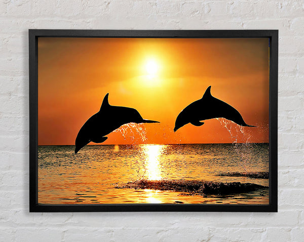 Sunset Dolphins Framed Print