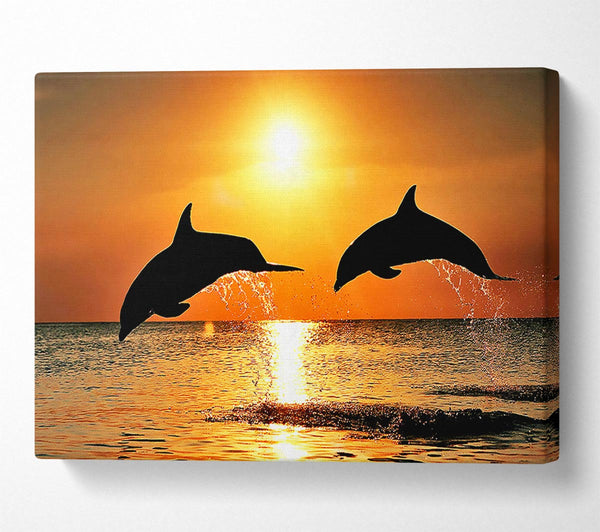  A Canvas Print of Sunset Dolphins Canvas Print