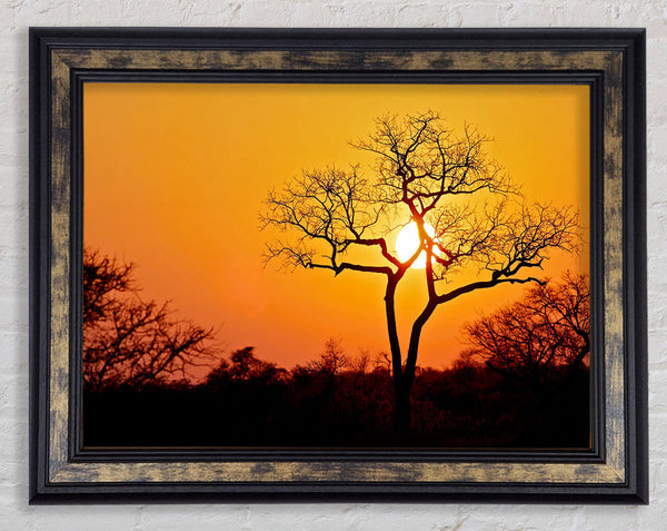 Sunset In Africa Framed Print