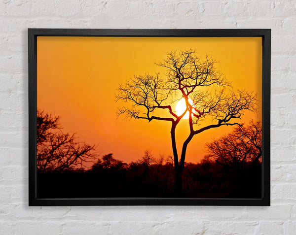 Sunset In Africa Framed Print