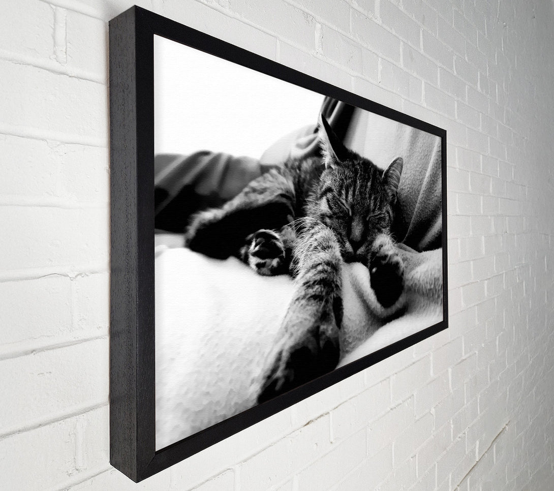  A Canvas Print of Sweet Dreams B n W Canvas Print