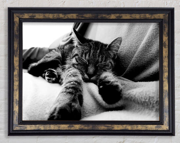Sweet Dreams B n W Framed Print