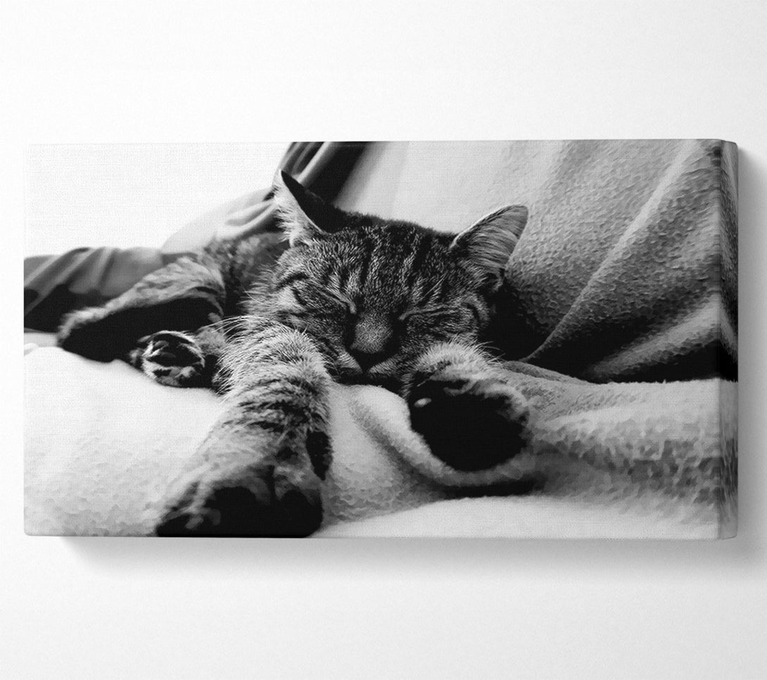  A Canvas Print of Sweet Dreams B n W Canvas Print