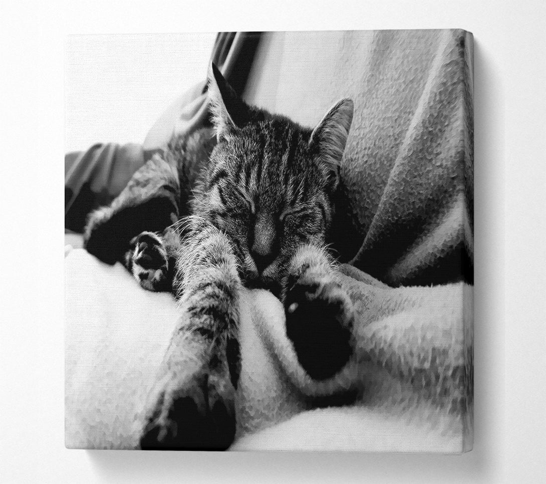  A Canvas Print of Sweet Dreams B n W Canvas Print