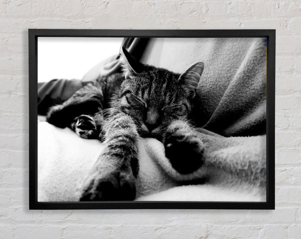 Sweet Dreams B n W Framed Print
