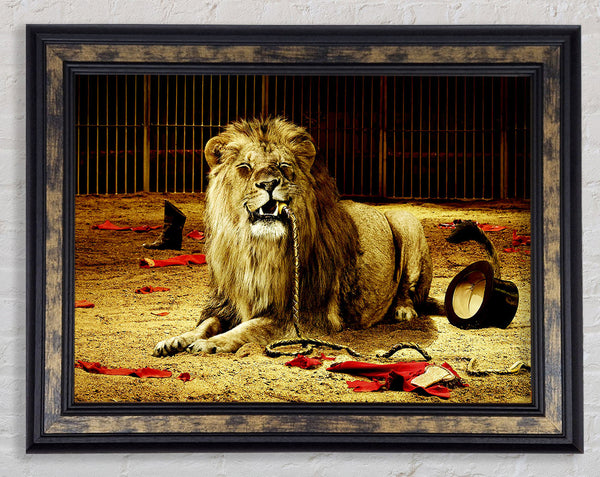 The Lion Tamer Framed Print