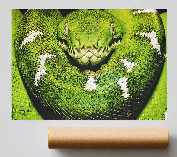 The Serpent Giclee Print