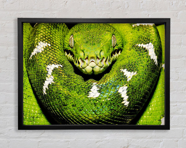 The Serpent Framed Print