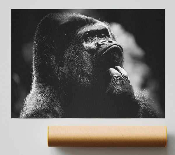 Thoughtful Gorilla B N W Giclee Print