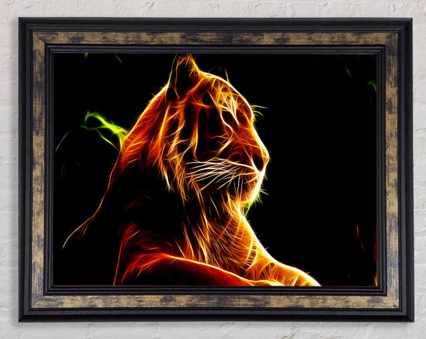 Tiger Blaze Framed Print