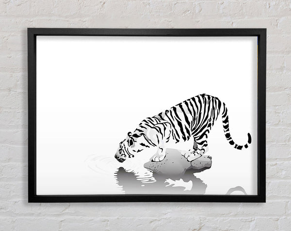 Tiger Drinking Framed Print