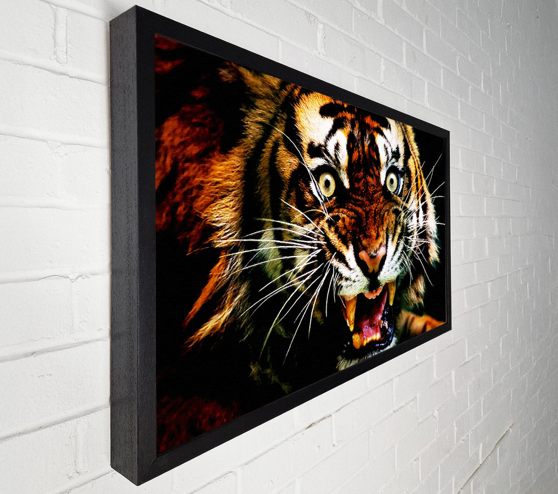  A Canvas Print of Tiger Roar Canvas Art