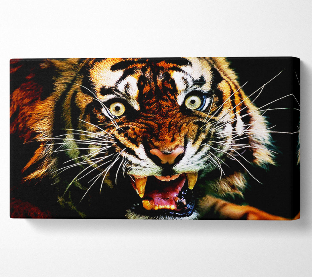  A Canvas Print of Tiger Roar Canvas Art