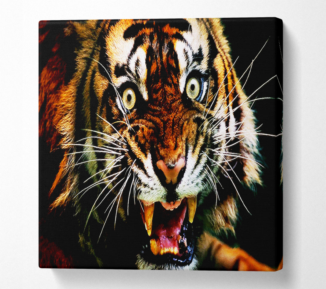  A Canvas Print of Tiger Roar Canvas Art