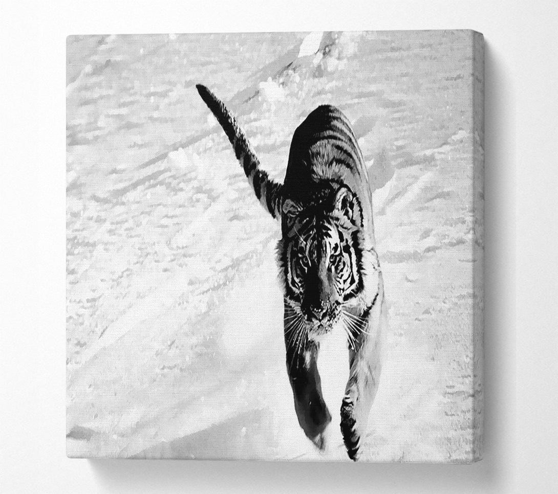  A Canvas Print of Tiger Running In Snow Canvas Art