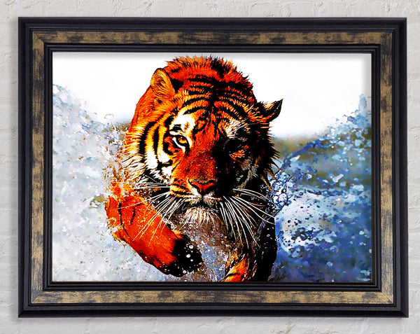 Tiger Running In Water Framed Print