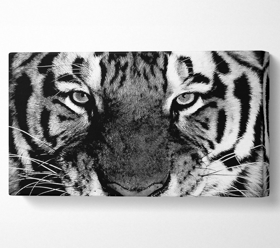  A Canvas Print of Tiger Stare B n W Canvas Print