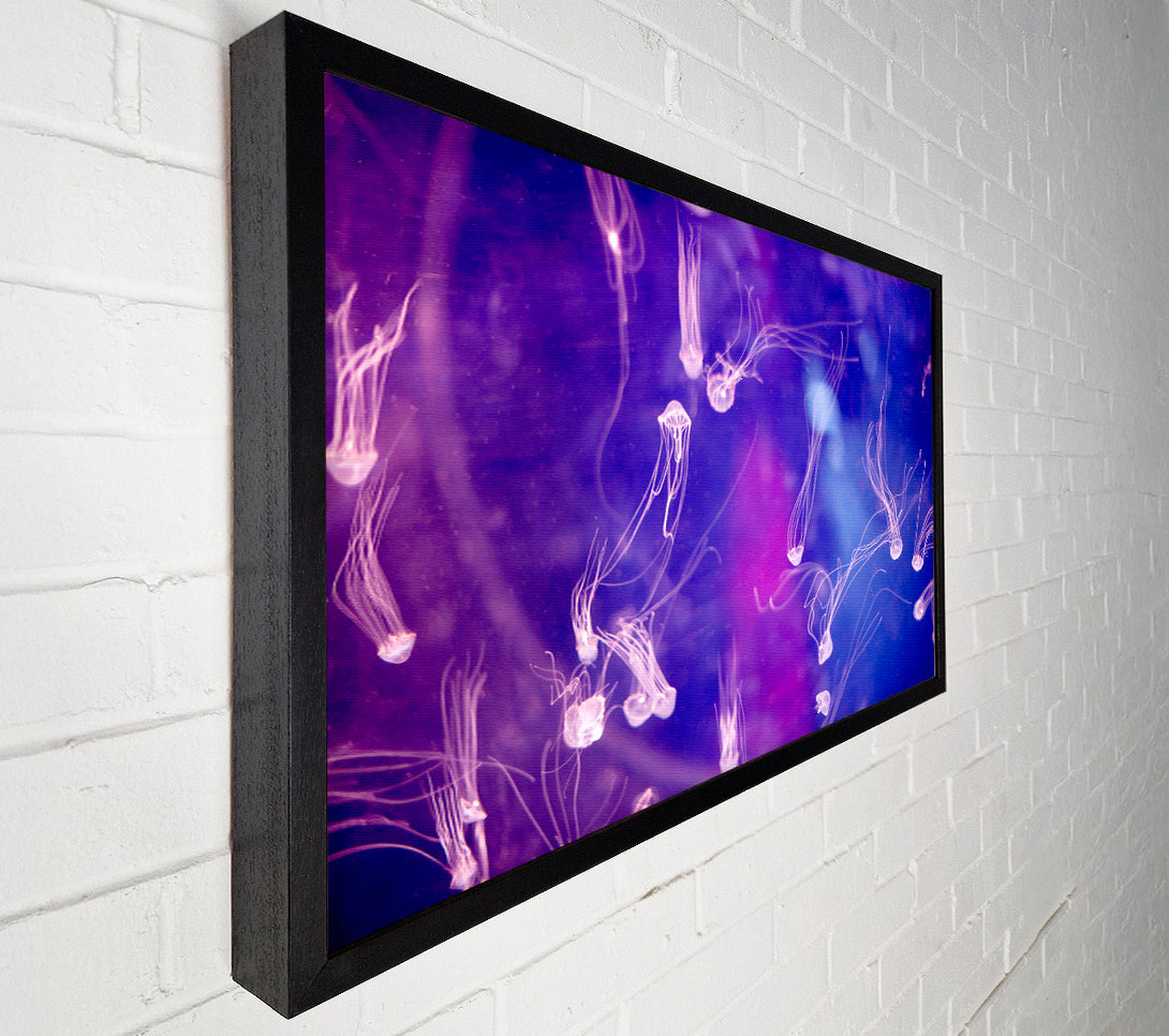  A Canvas Print of Tiny Jellyfish Canvas Wall Art