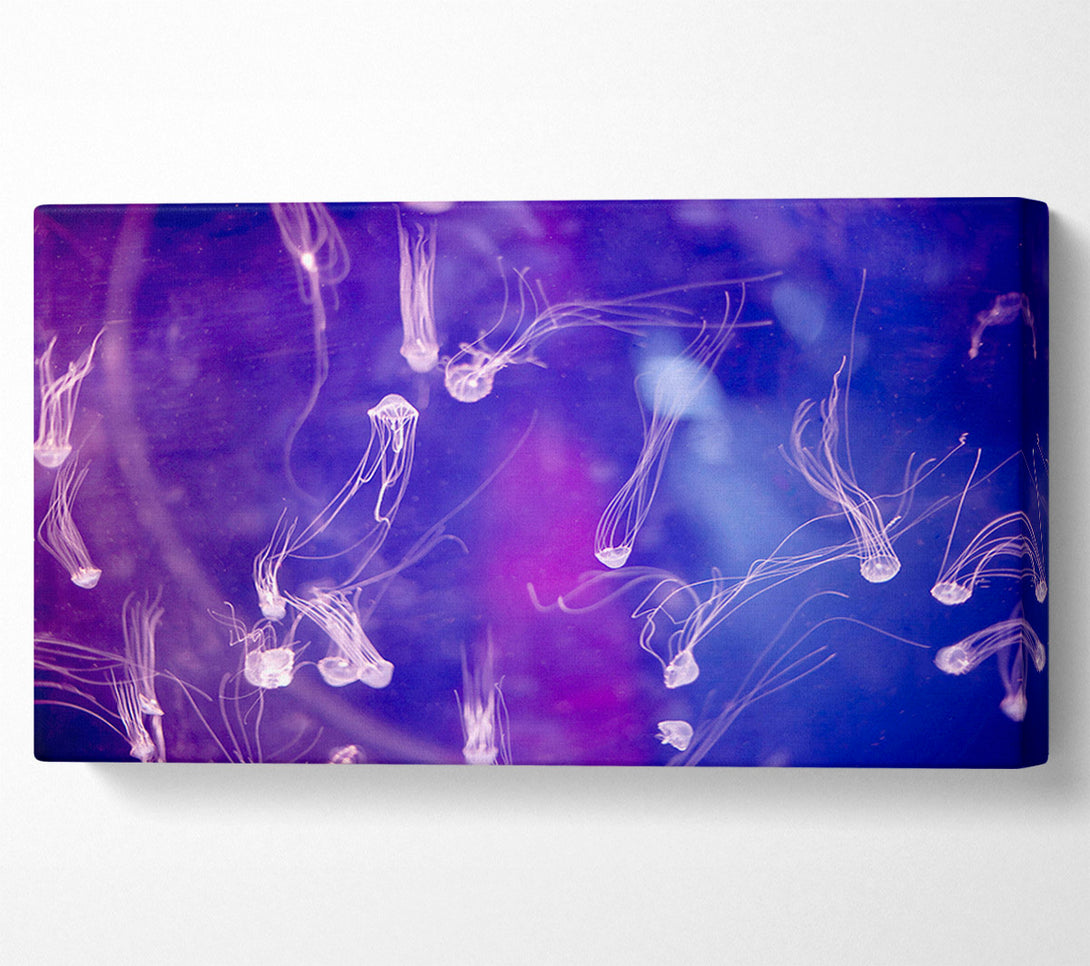  A Canvas Print of Tiny Jellyfish Canvas Wall Art