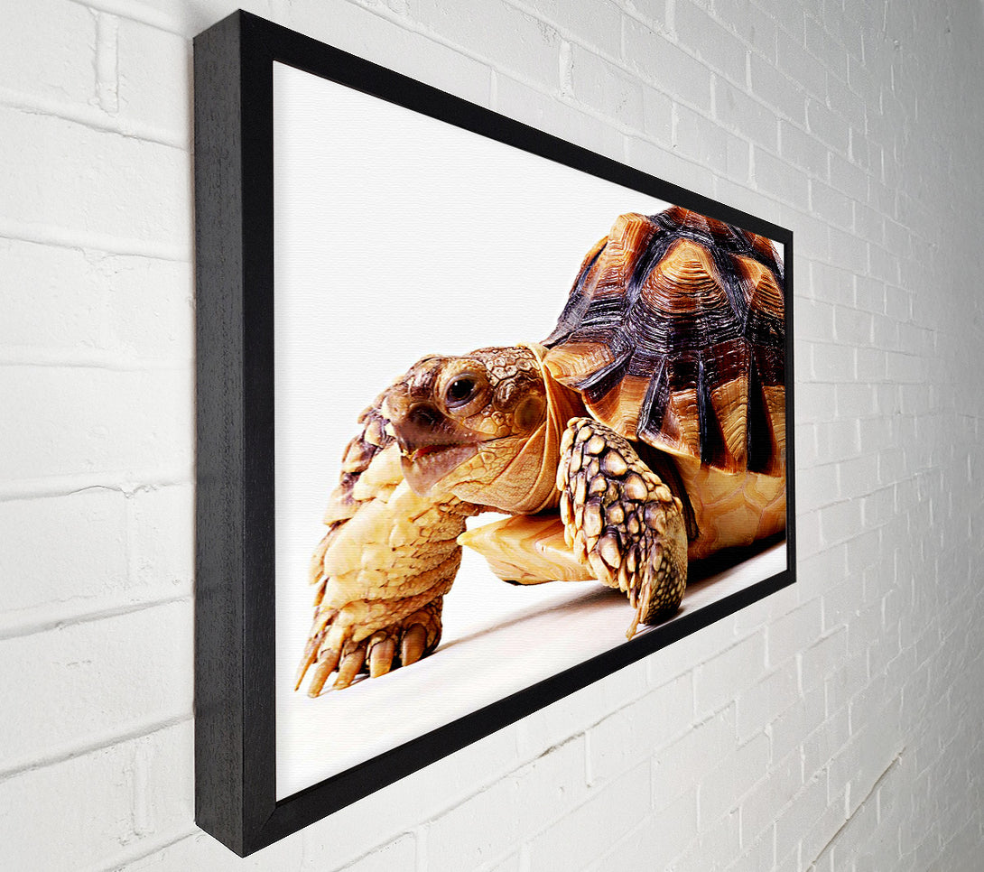  A Canvas Print of Tortuous Walk Canvas Wall Art