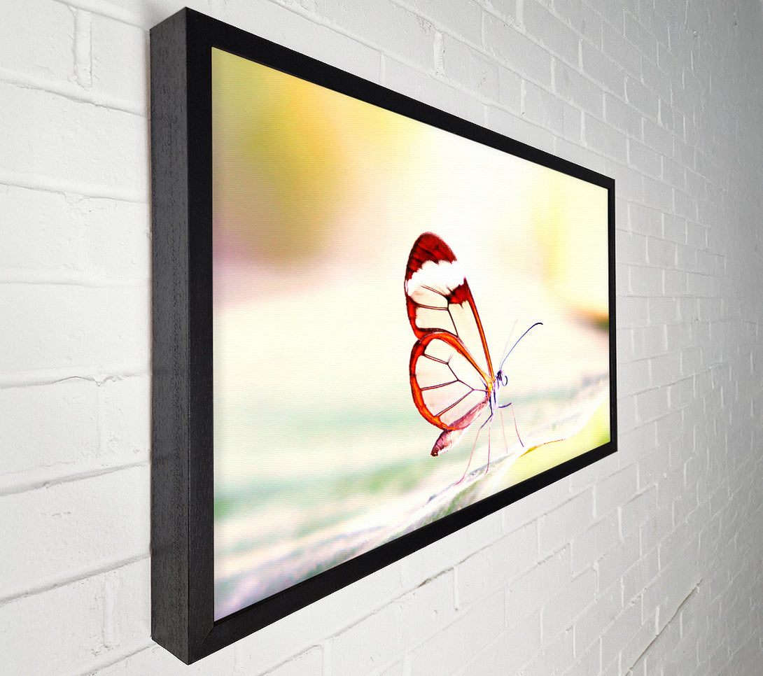  A Canvas Print of Transparent Winged Butterfly Canvas Art