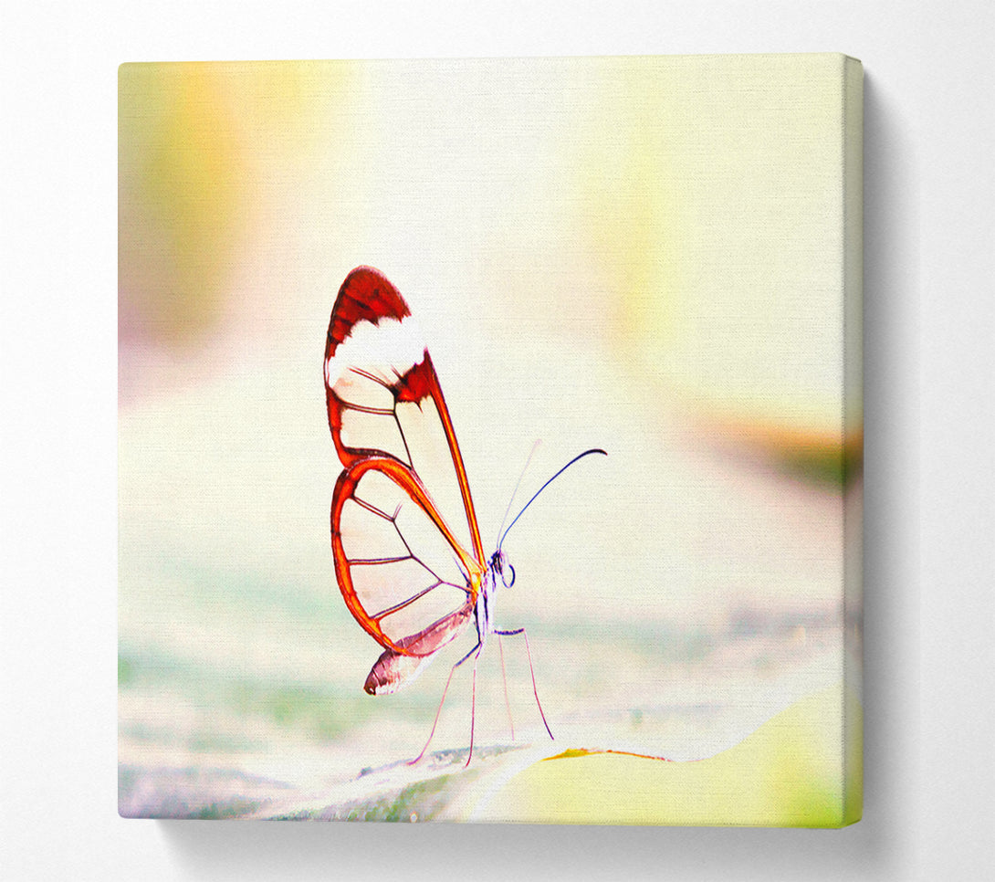 A Canvas Print of Transparent Winged Butterfly Canvas Art