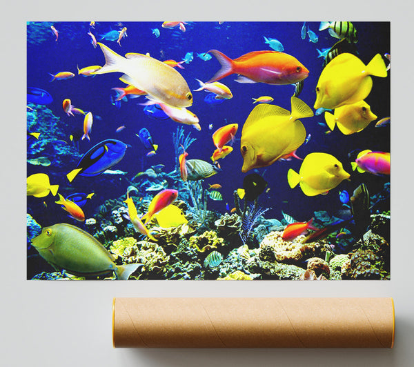 Tropical Fish Underwater Print
