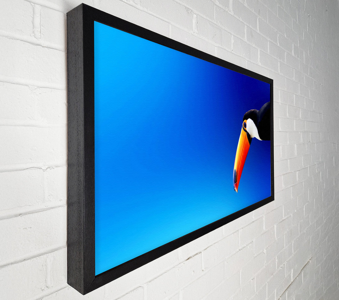  A Canvas Print of Tucan Beauty Canvas Art