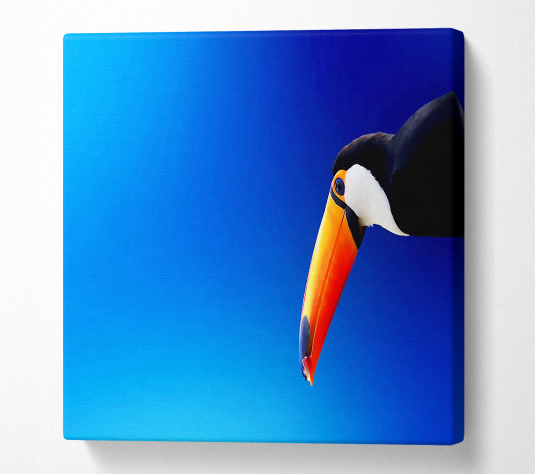  A Canvas Print of Tucan Beauty Canvas Art