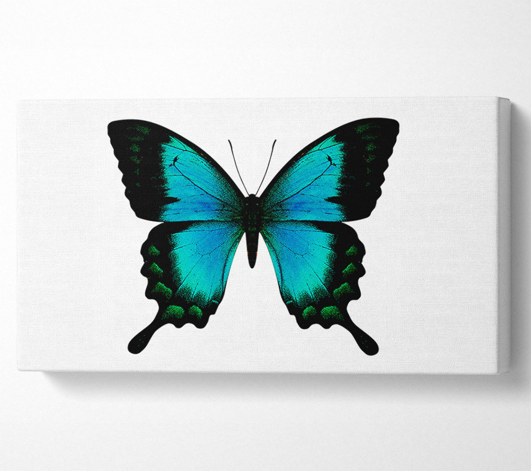  A Canvas Print of Turquoise Butterfly Wings Canvas Print