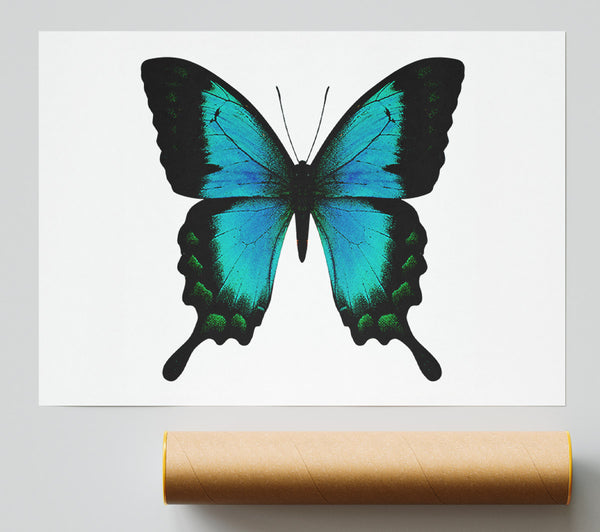 Turquoise Butterfly Wings Print