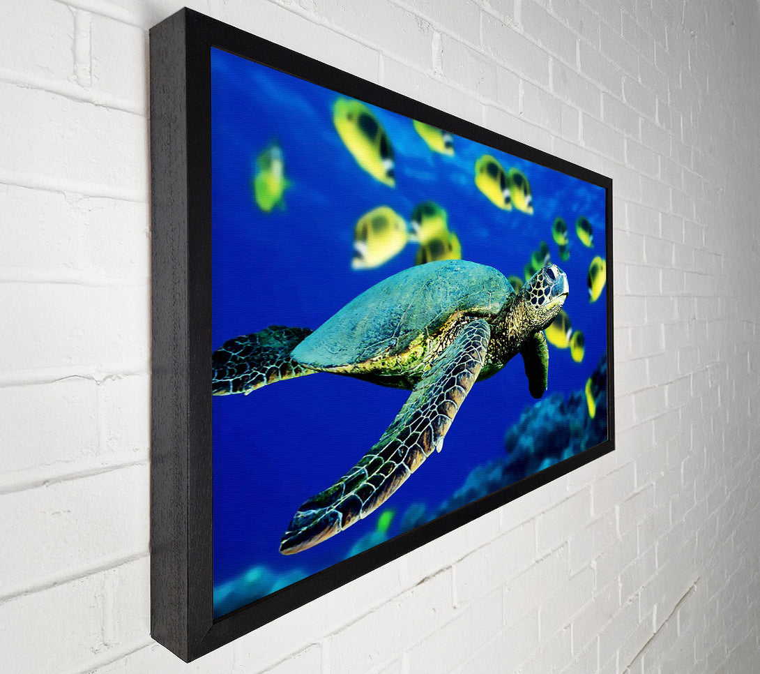  A Canvas Print of Turtle Ocean Canvas Art