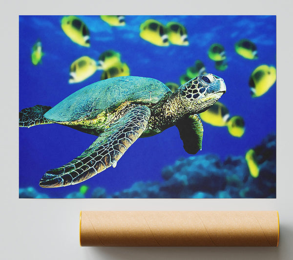 Turtle Ocean Poster