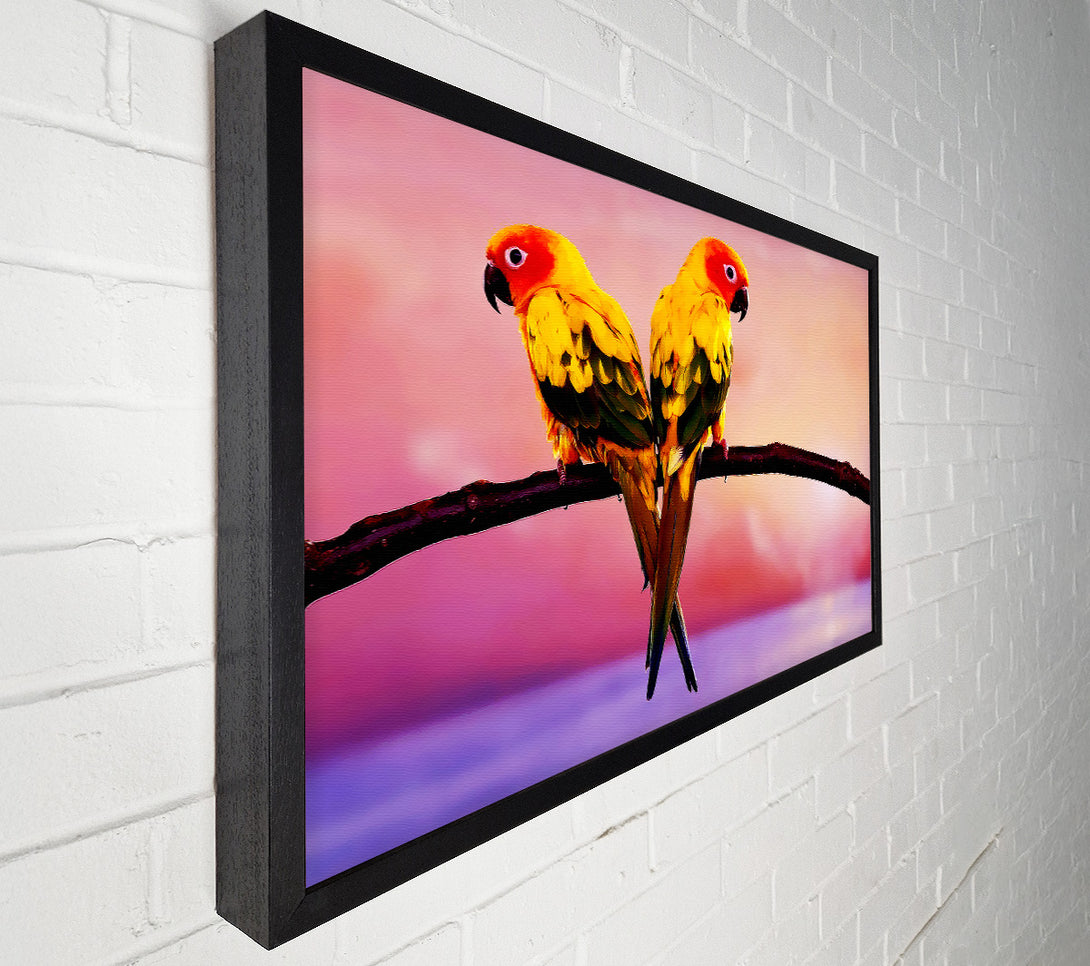  A Canvas Print of Twin Parrots Canvas Art