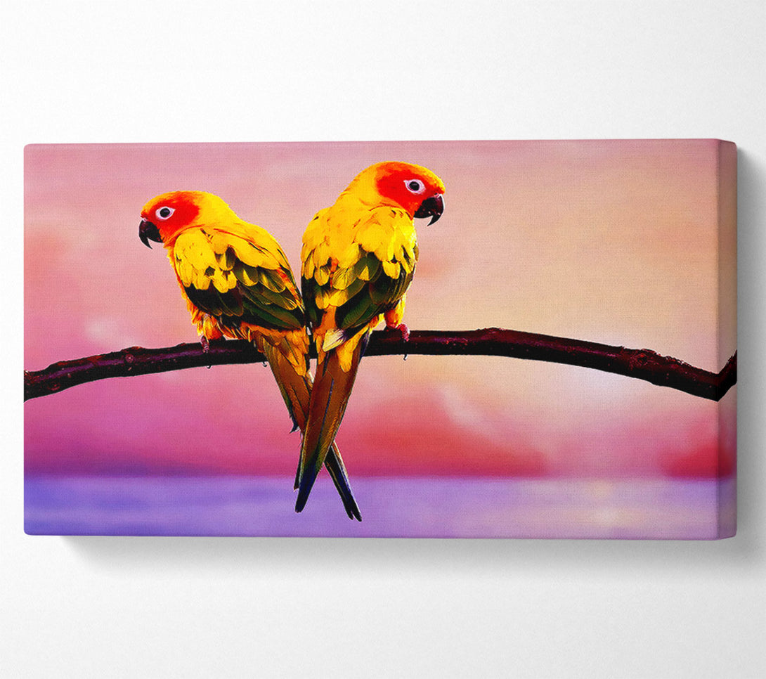  A Canvas Print of Twin Parrots Canvas Art
